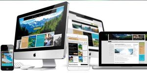 Website Design